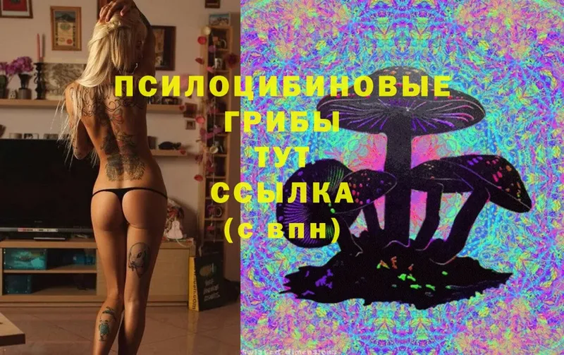 Галлюциногенные грибы MAGIC MUSHROOMS  Белый 